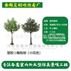 Plastic potted plant (deposit link 3)