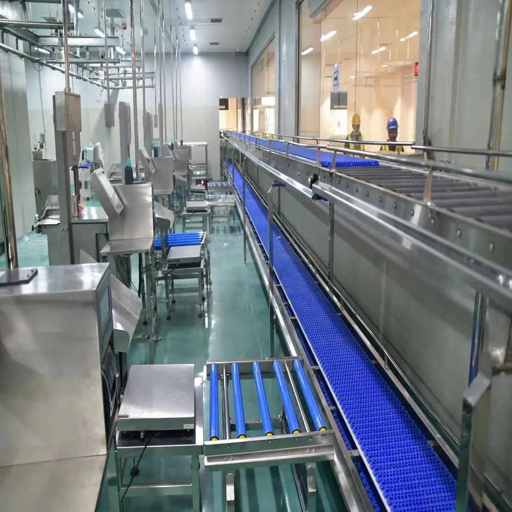 Customized halal poultry slaughterhouse with halal processing equipment