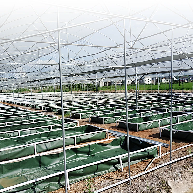 Commercial Aquaponic System and Fish Farming System