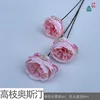 High Branch Austin XRX Rosa intenso
