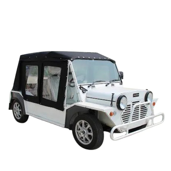 Discover the Secret with Electric Tricycle Car with EEC-Approved Fast and Slow Charging