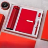 Set de 4 piezas [taza + cuaderno + bolígrafo + disco de 16GB] rojo
