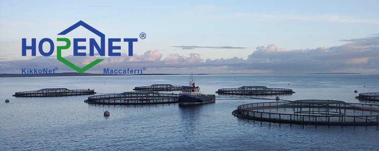 plastic net-black net