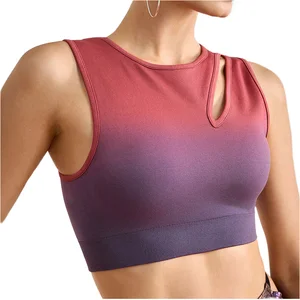 Yoga Sports Bra Gradient Color Hollow Out High Support Sweat Wicking Seamless Sports Women's Tank Top OEM Services