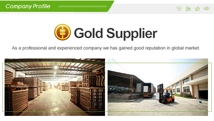3 Company profile1.jpg