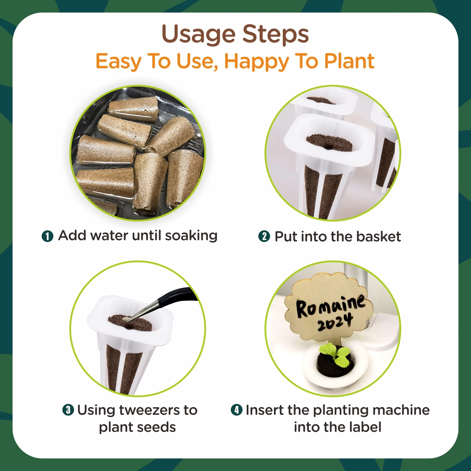 Replace root. Replace root