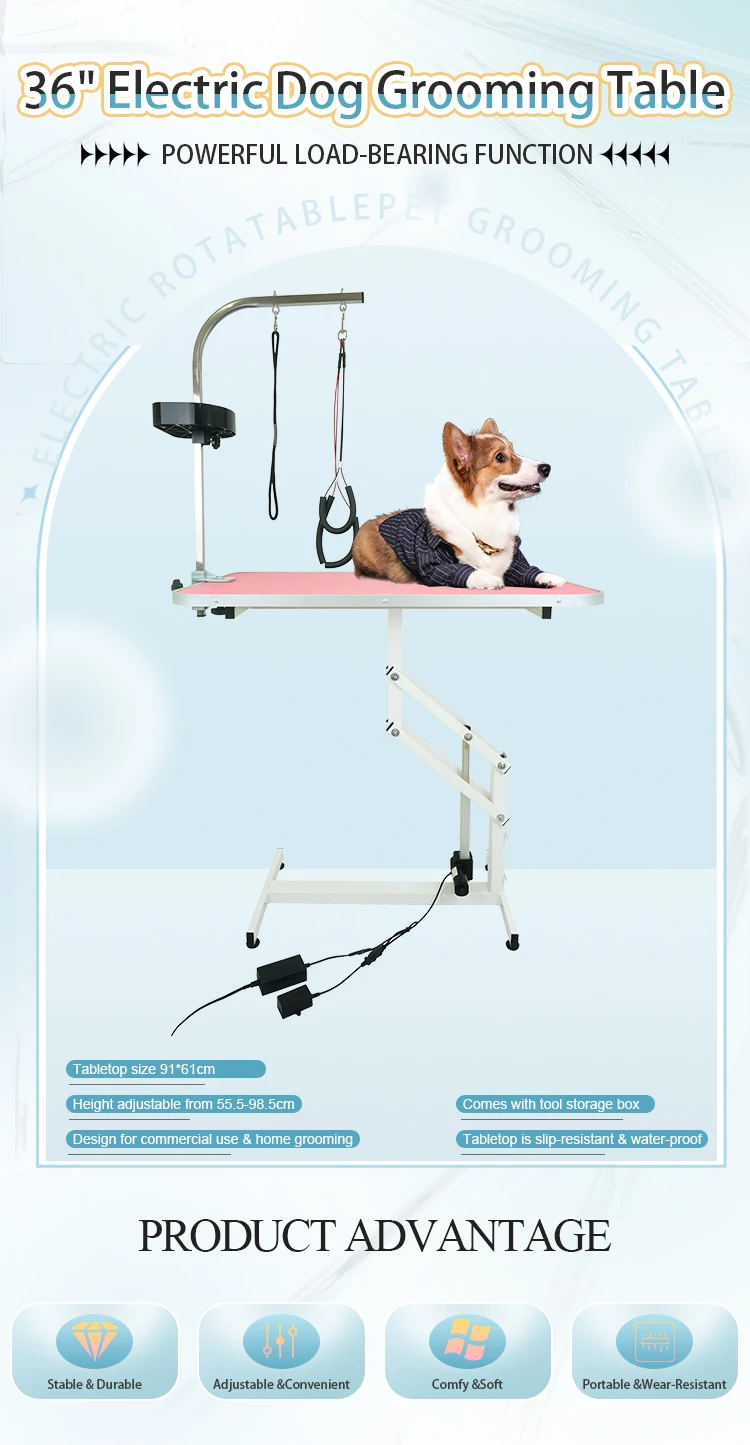 what equipment do you need for dog grooming