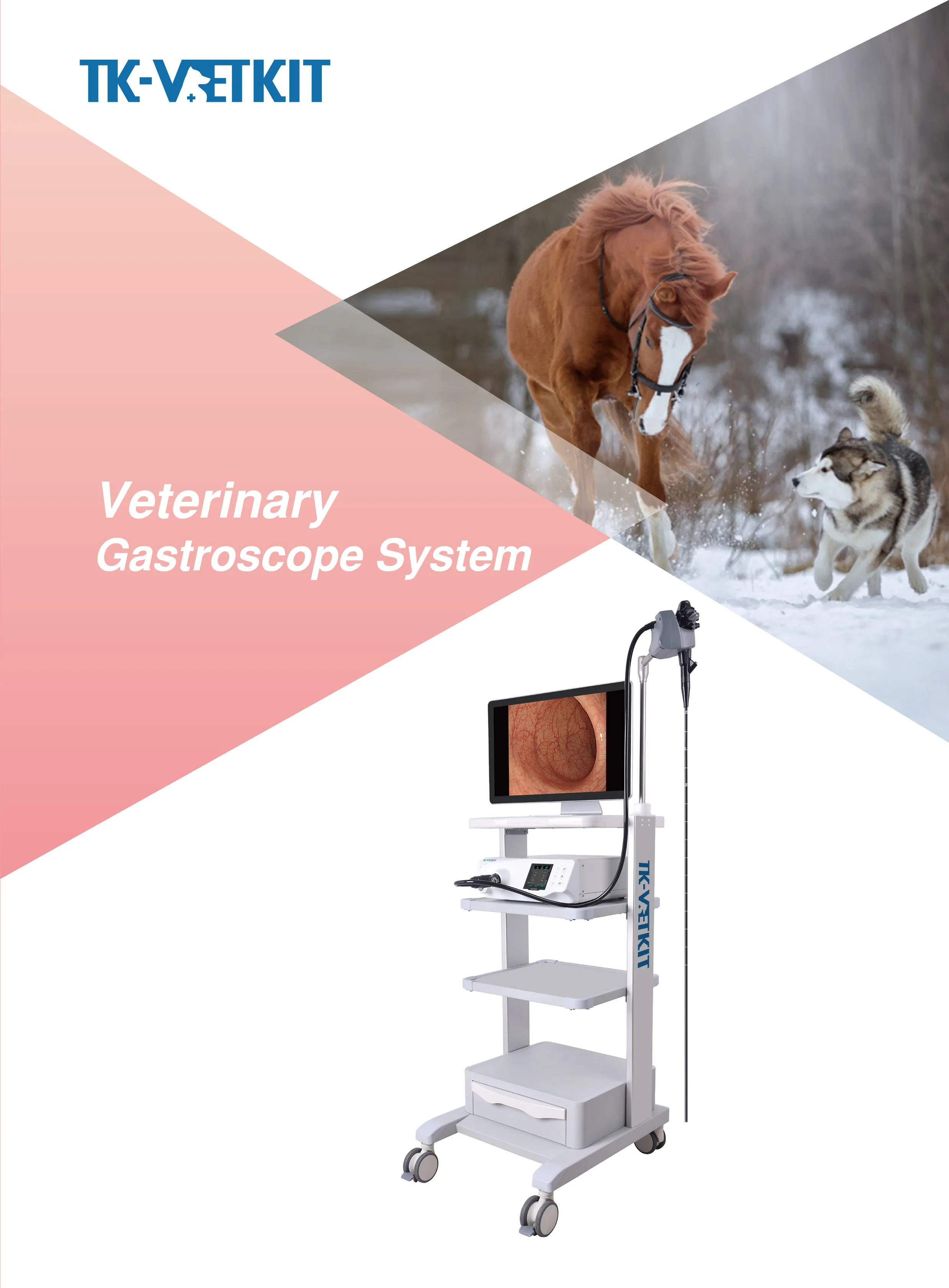 Flexible Veterinary Gastroscope Endoscope / Vet Endoscopy For Cat Dog
