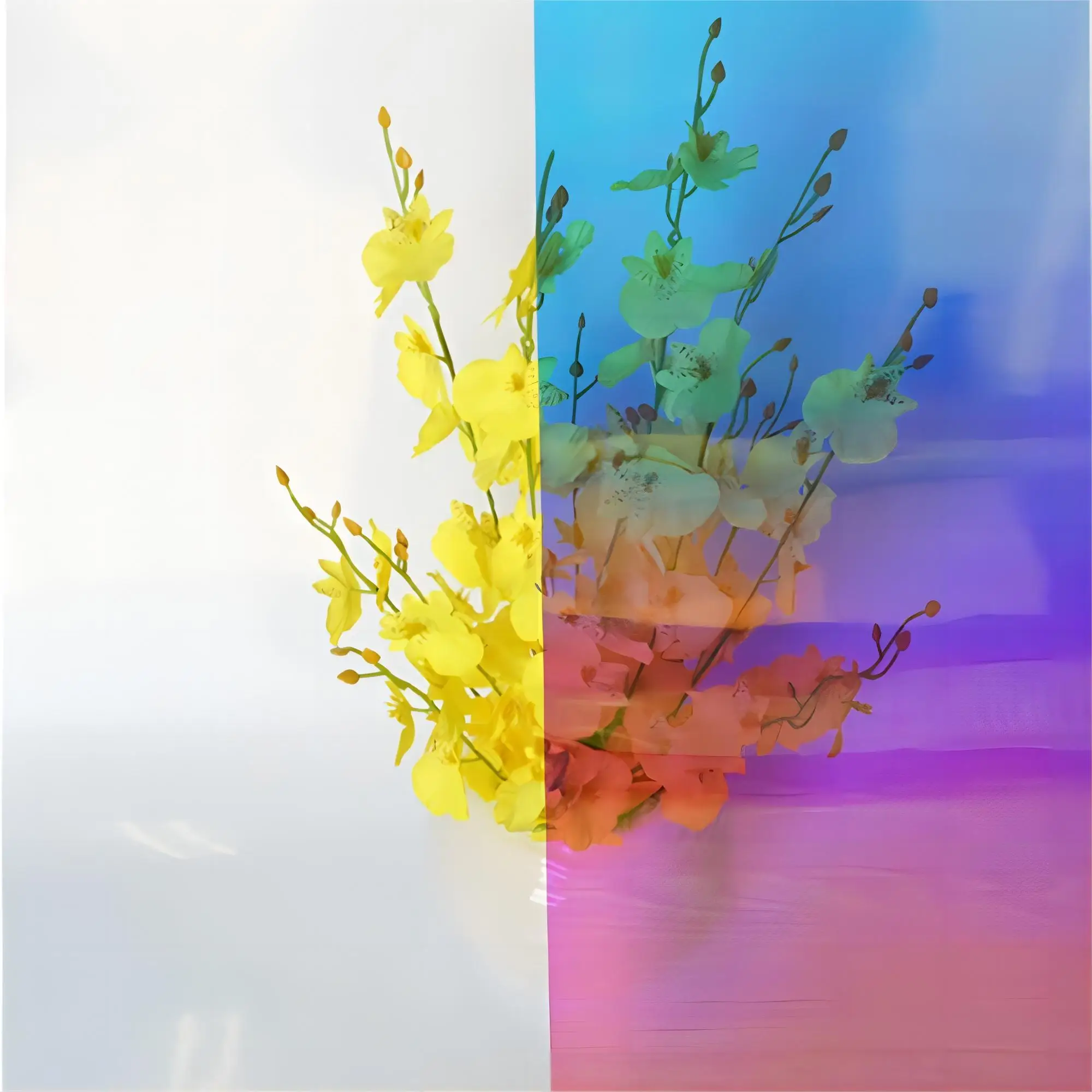 Chameleon Nano Ceramic Window Film Smart Blue and Red Rainbow Coloured PET Material Decorative Car Glass and Building Window