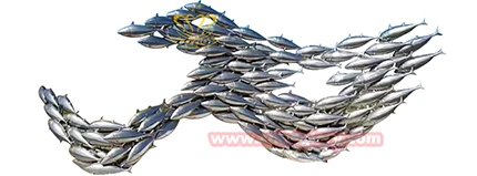 Baoding Glory Import And Export Co., Ltd. 2