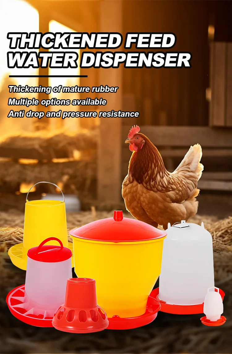 2kg 4kg 6kg Automatic Chicken Feeder And Drinker Quail Pigeon Feeding