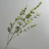 Grayish Green