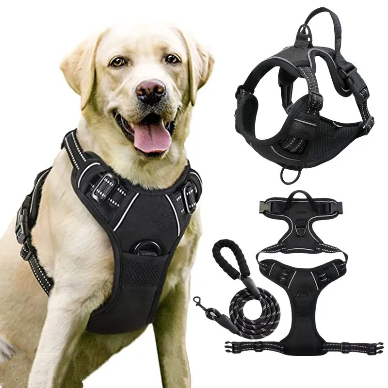 Durable Nylon Dog Harness Set with Custom Logo Reflective Strips