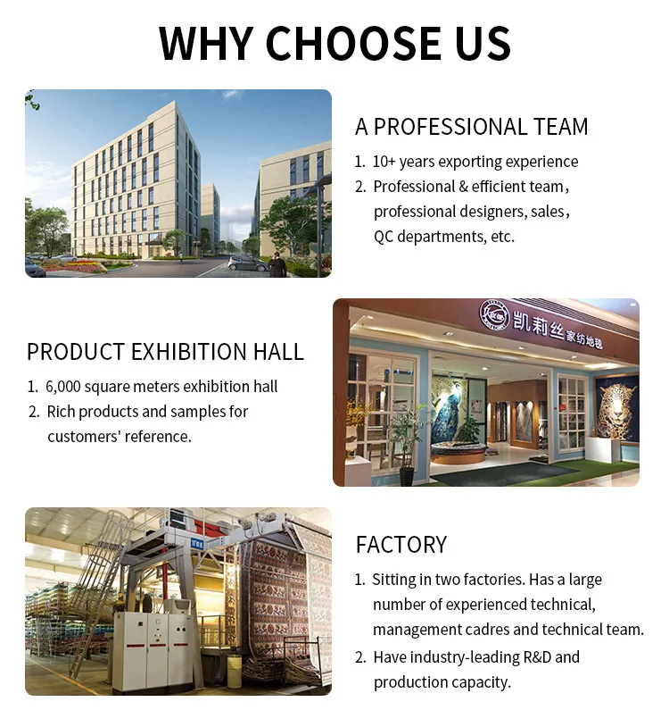 Foshan Kailisi Home Co., Ltd. 2