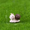 Little Snail