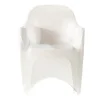 Blanco con Frente Arqueado