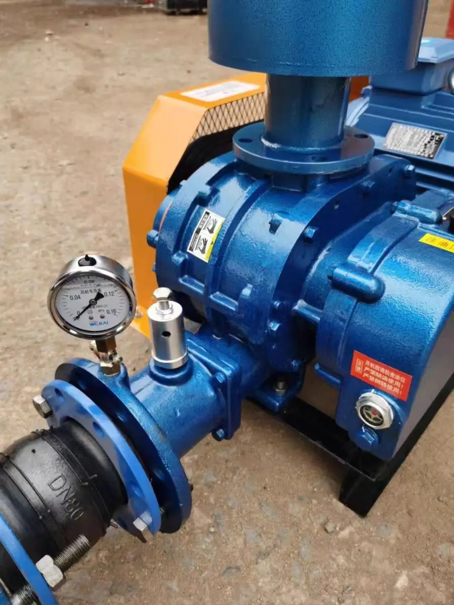 Roots Blower, 1.5KW, Cast - detail 20