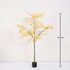 บอนไซเมเปิลสีเหลืองขนาดเล็กแบบปกติ - 160 ซม.