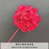 Rose red