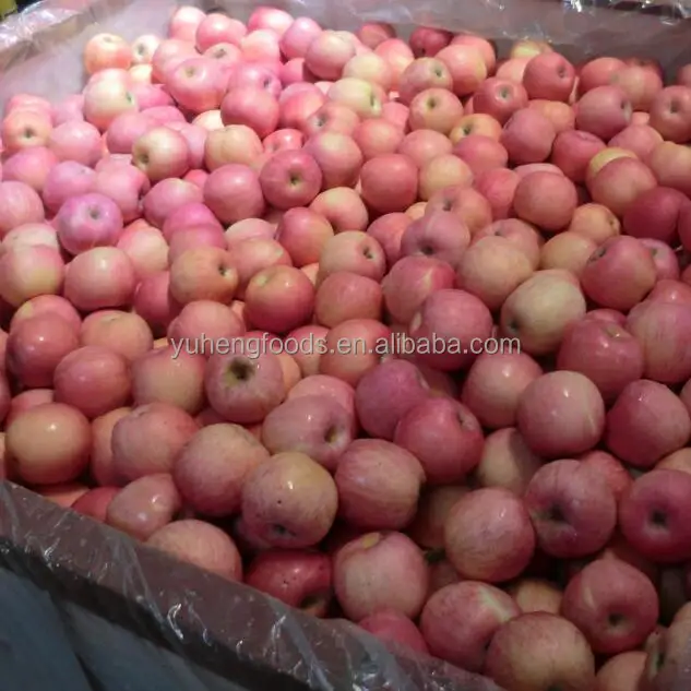 fuji apple 17.jpg