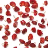 Coral rojo