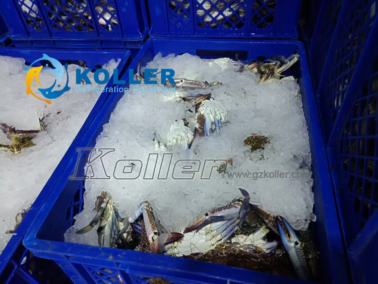 Ice Machine, KP30, 380V or 220V-240V, 500 W - detail 20