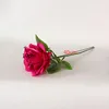 Single Rose Red