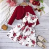 Rosso DY42669A