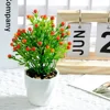 Frijoles de acacia en maceta naranja 18cm