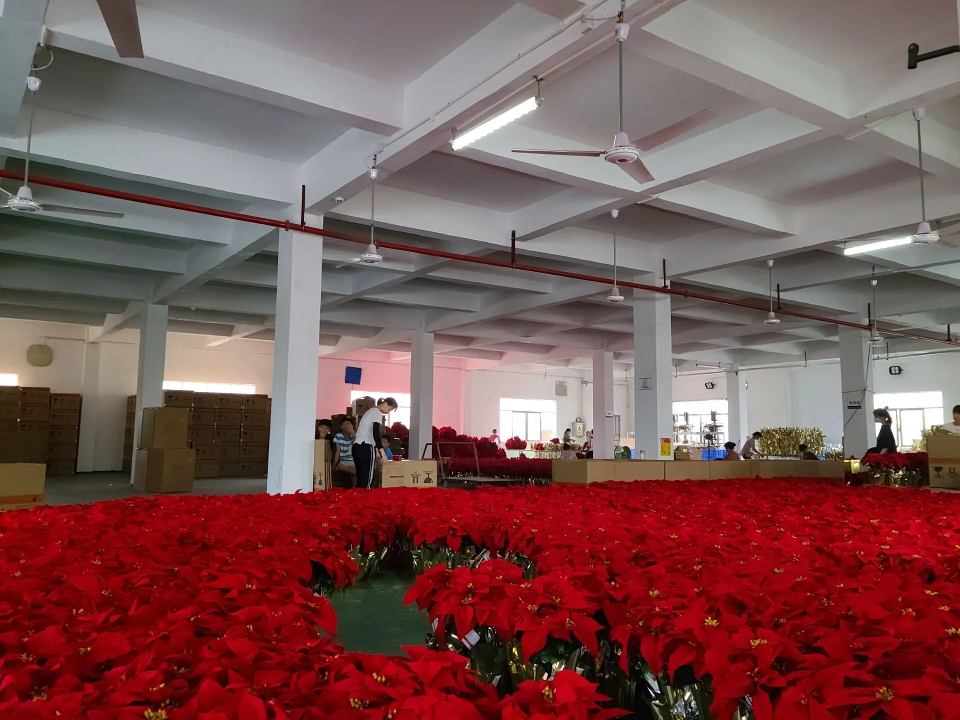 Brilliant Art And Craft Limited Company 3
