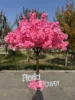 arbre à fleurs d