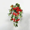 12-branch begonia vine