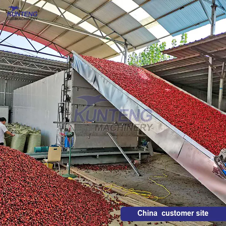 Food Processing Drying Machine Dry Fruit Processing Plant Marula Fruit Processing Equipment