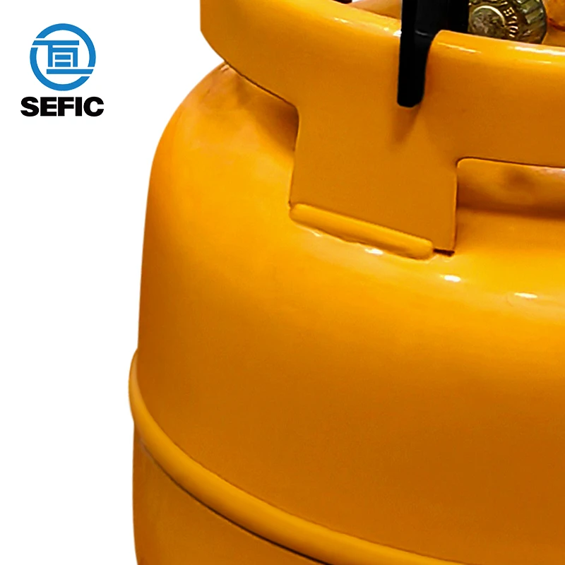 6Kg Home Used Lpg Gas Cylinder for South Africa