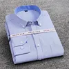 5-Striscia Blu