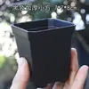 5 petites tailles [hors plateau] - Sélection Qualité