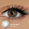 DS-95-GRAY