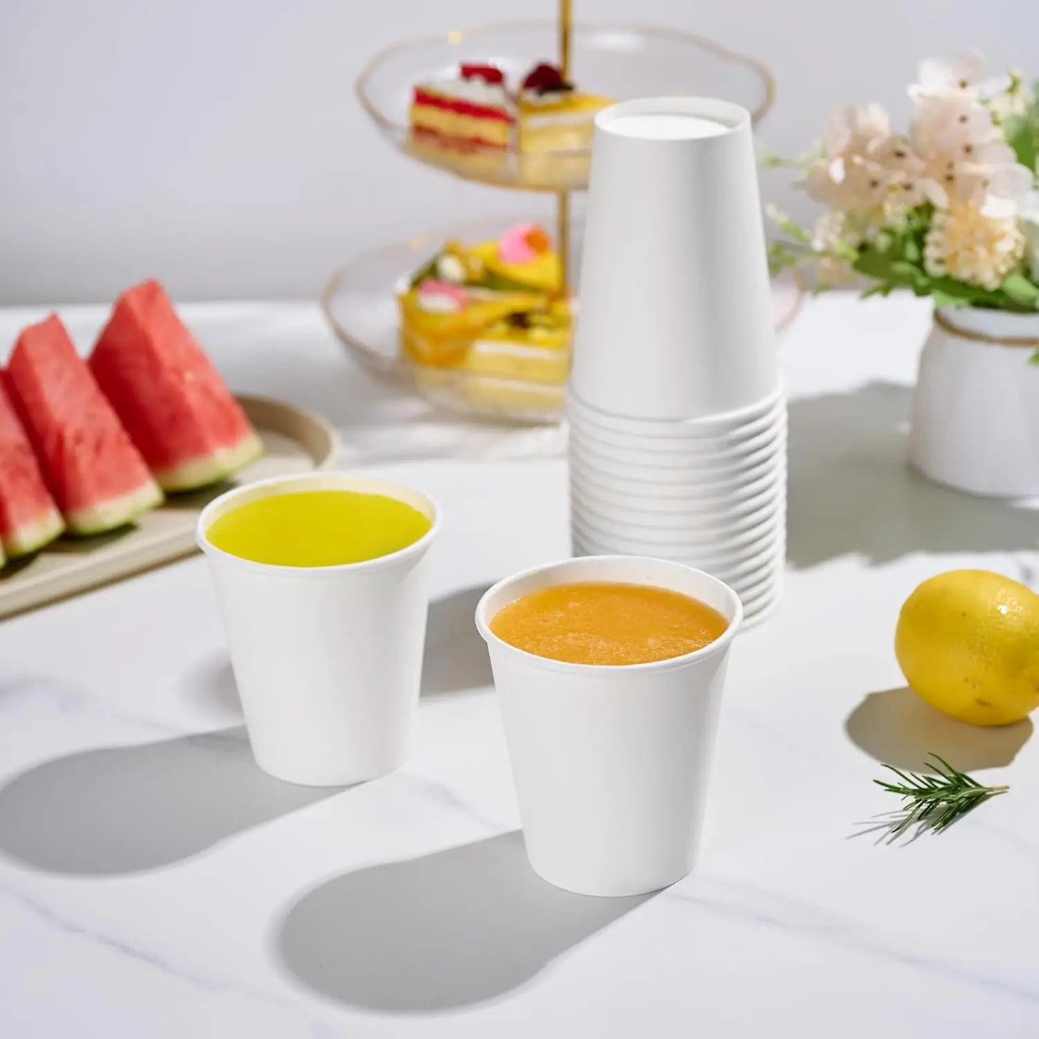 Biodegradable Double Wall Disposable Insulated Coffee Cups Recycle Carton Custom Take Out with Lid Wholesale