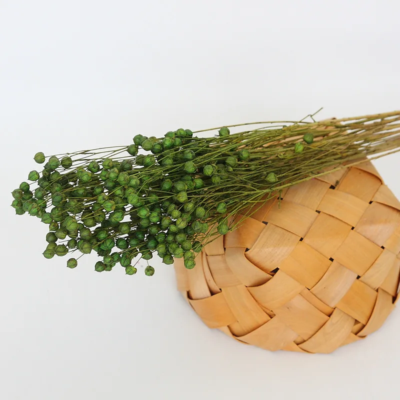 Wholesale Top Quality Jequirity Bean Dry Jumble Beads Bouquet Bulk Dried Flowers Decoration
