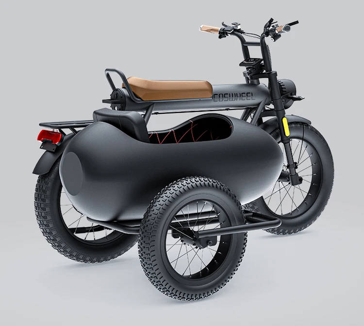 Coswheel Side Car Pedal Assist Bike Sidecar To Carry Pets Electric Fat