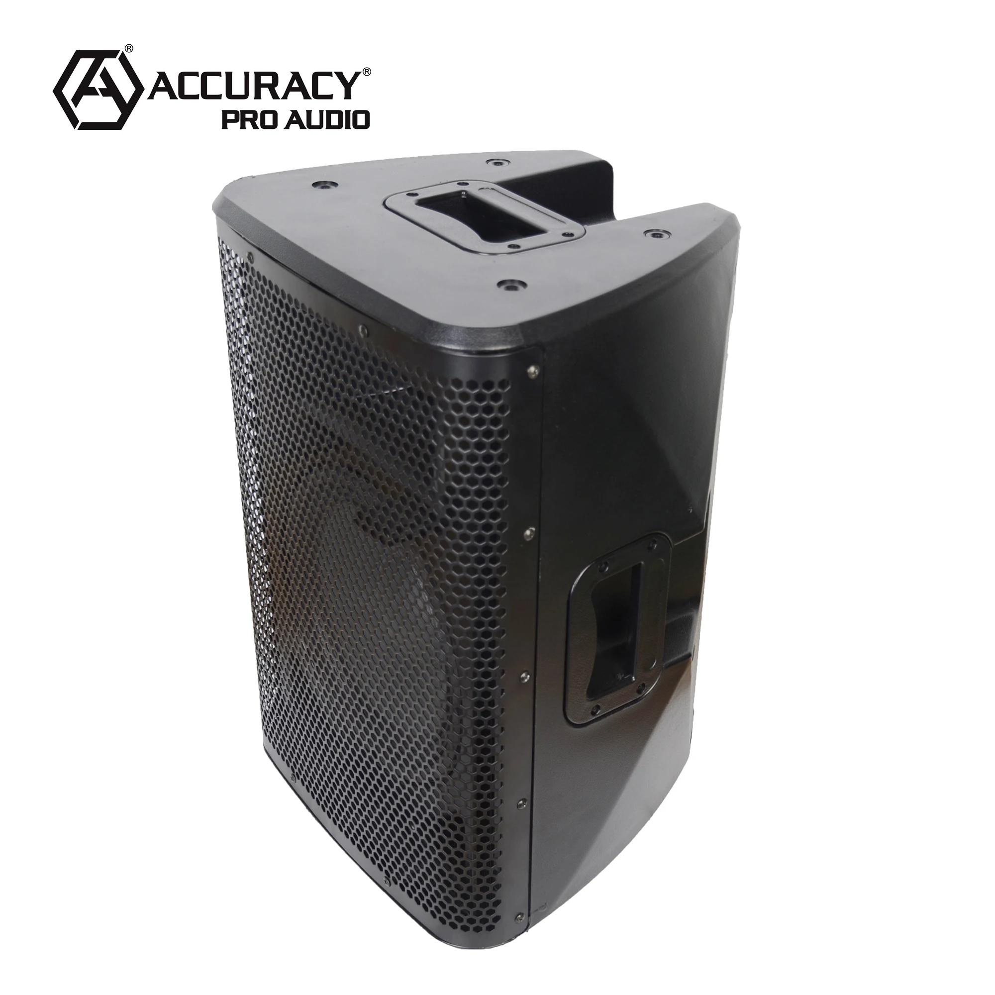 Accuracy Pro Audio CAO10DSP 10 Inch DSP Powered Speakers Home Party pa Active Portable Sound System Speaker Box