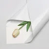 Pearlescent White