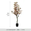 Autumn Colors Money Tree - 120cm