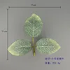 Autumn Colors - Small Rose Leaves