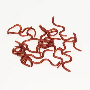 Red Bionic Simulation Bloodworm Earthworm 20g/3cm Plastic Maggots Soft Bait Fishing Lure – Soft Lure – view 5