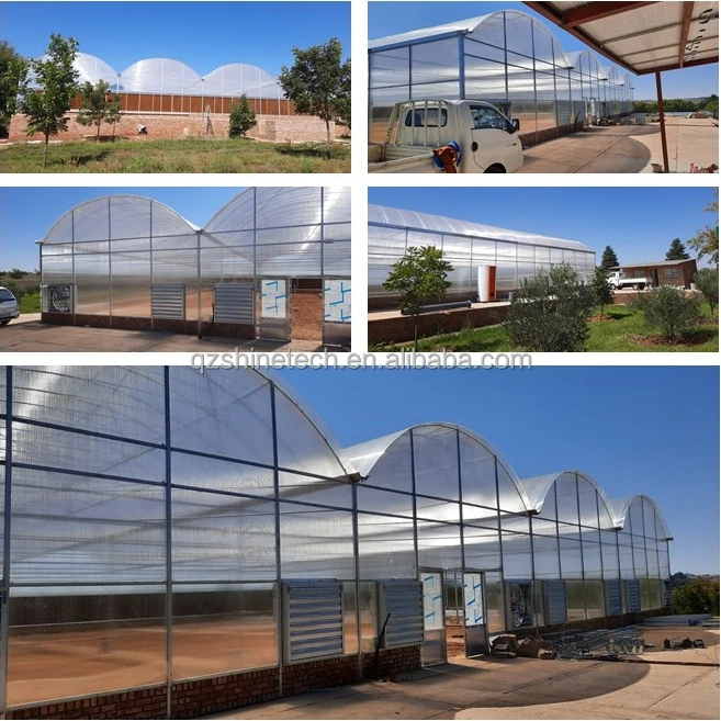 Fully automatic greenhouse