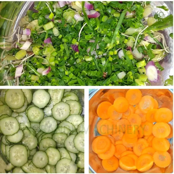 2024 Small Mini Stainless Steel Commercial Green Onion Slicing Machine Shallot Carrot Vegetable Cutter Potato Vegetables Slicer - Image 6