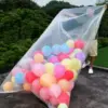 Transparent