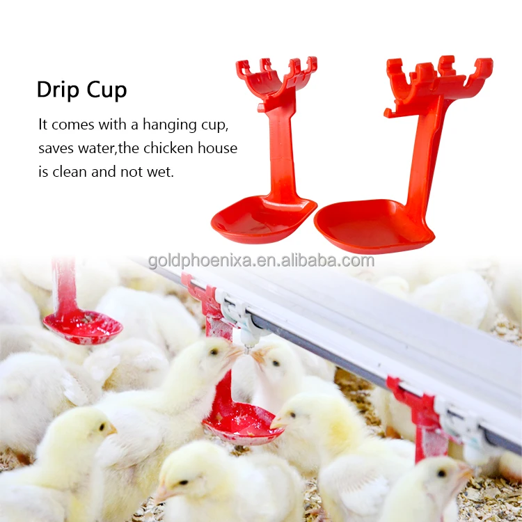 QA Complete Set Poultry Farm Automatic Drinking System Plasson Nipple Drinker Line for Chicken House