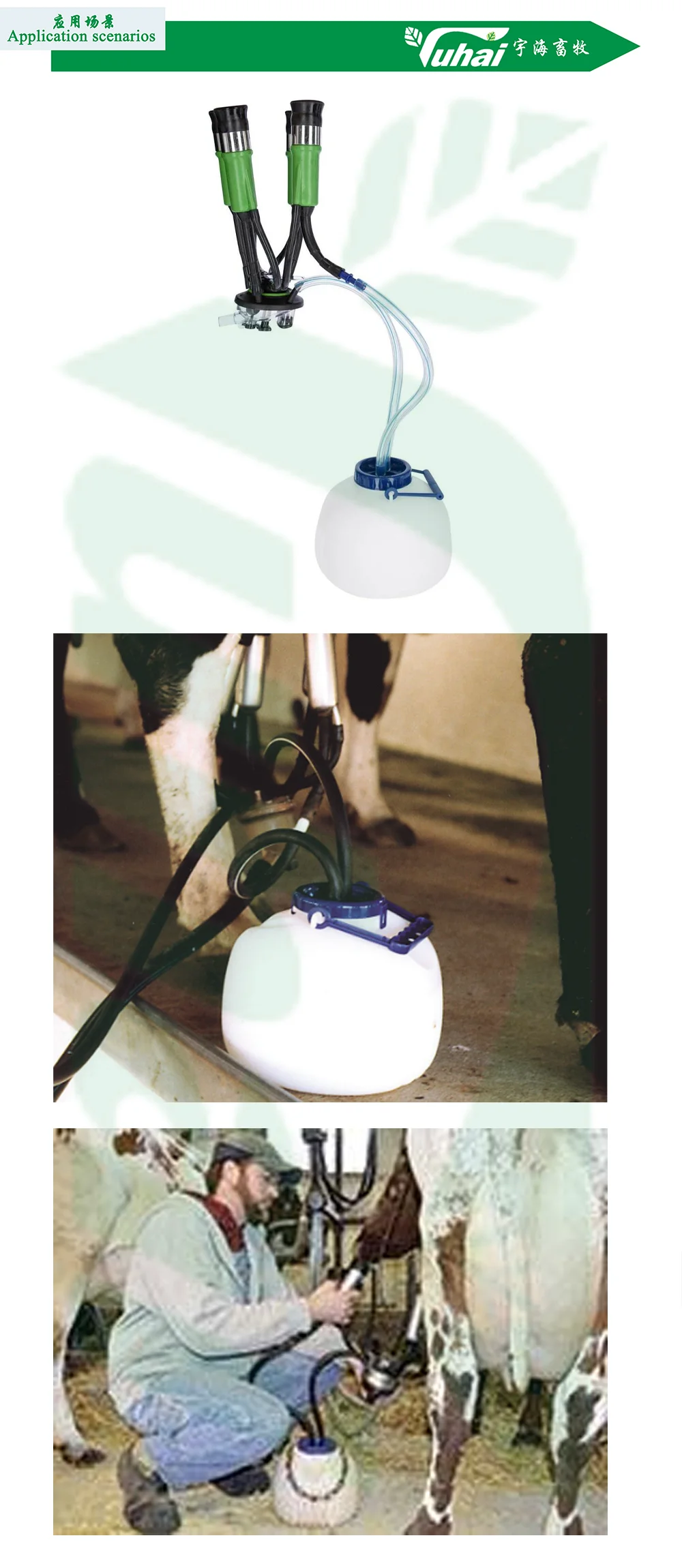 12L Quarter Milker for Milking Machine/milk Trolley/cow Farm Accessories supplier